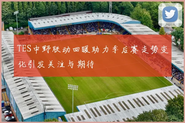TES中野联动回暖助力季后赛走势变化引发关注与期待